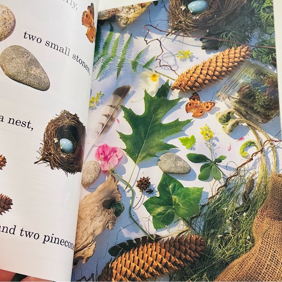 Level 1 Reader I Spy An Egg in a Nest Paperback Book - Picture 7 of 8